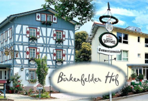 Отель Hotel Landgasthof Birkenfelder Hof, Биркенфельд